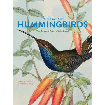 The Family of Hummingbirds