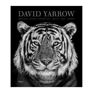 David Yarrow