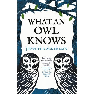 What an Owl Knows