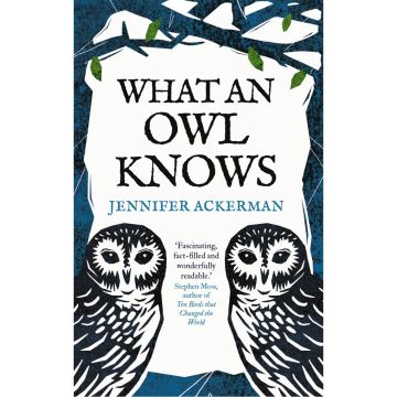 What an Owl Knows