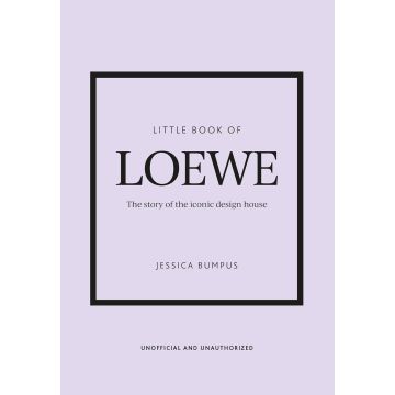 The Little Book of Loewe