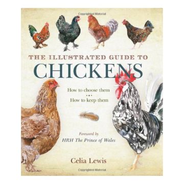 The Illustrated Guide to Chickens