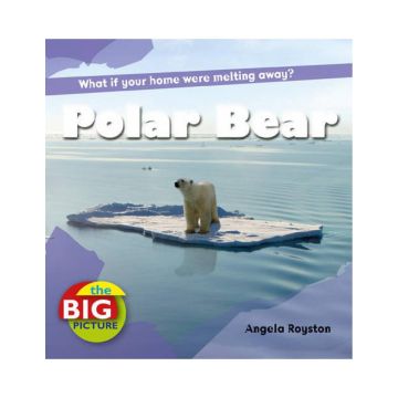 Polar Bear (Big Picture)