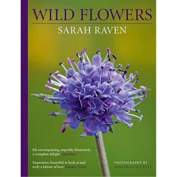 Sarah Raven's Wild Flowers