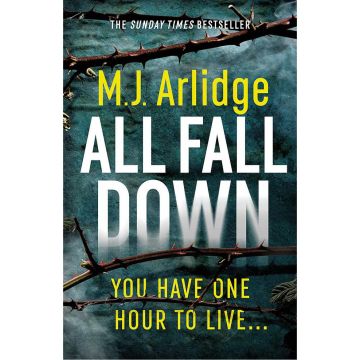 All Fall Down (DI Helen Grace #8)