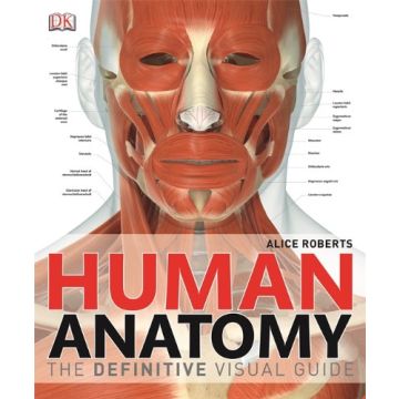 Human Anatomy