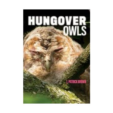 Hungover Owls