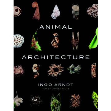 Animal Architecture