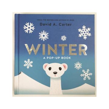 Winter. A Pop-up Book