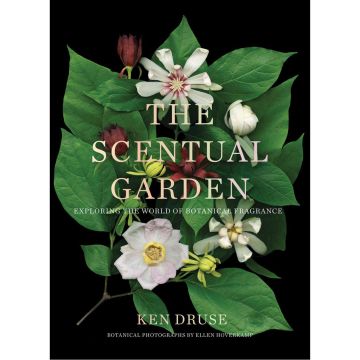 The Scentual Garden