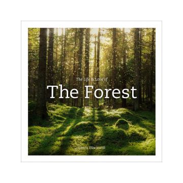 The Life and Love of the Forest