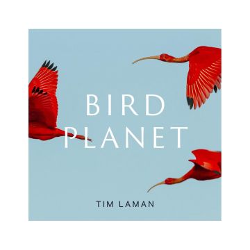 Bird Planet