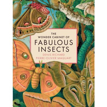 The Wonder Cabinet of Fabulous Insects