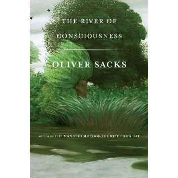 The River of Consciousness