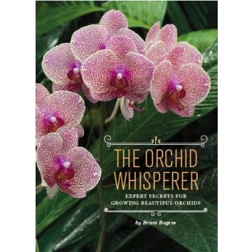 The Orchid Whisperer