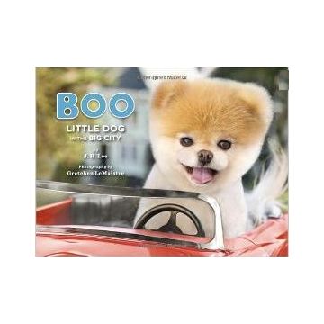 Boo: Little Dog in the Big City