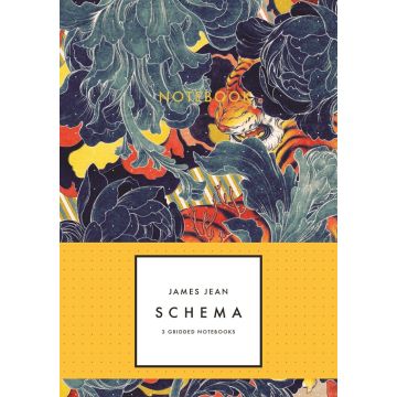 Schema Notebook Collection