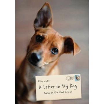 A Letter To My Dog