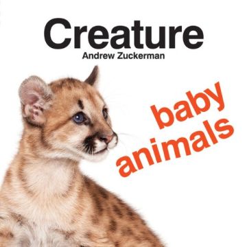 Creature Baby Animals