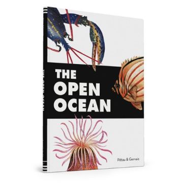 The Open Ocean