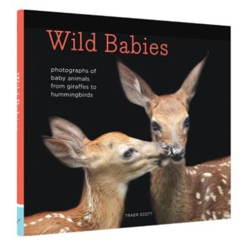 Wild Babies