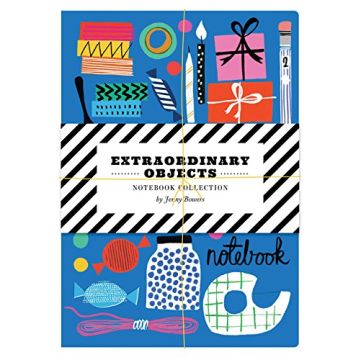 Extraordinary Objects Notebook Collection