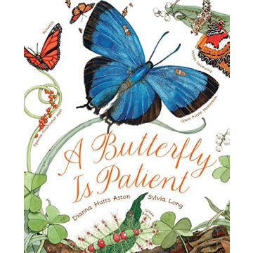 A Butterfly Is Patient