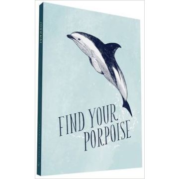 FInd Your Porpoise / Honey Bee Yourself