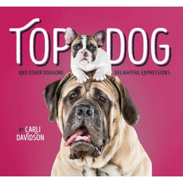 Top Dog