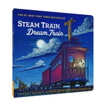 Steam Train, Dream Train