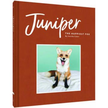 Juniper: The Happiest Fox