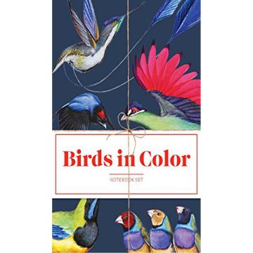 Birds in Color