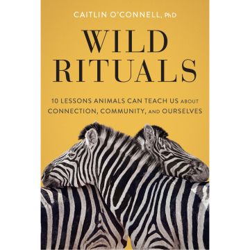 Wild Rituals