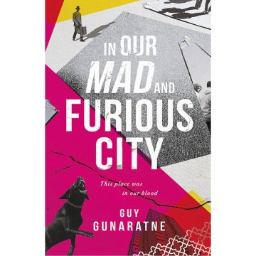 In Our Mad and Furious City