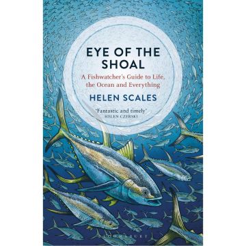 The Eye of the Shoal