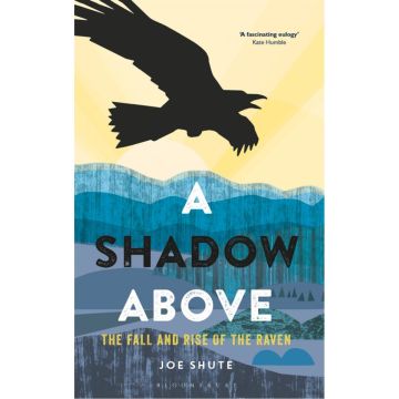 A Shadow Above