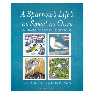 A Sparrow's Life's as Sweet as Ours