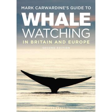 Mark Carwardine's Guide To Whale Watching In Britain And Europe