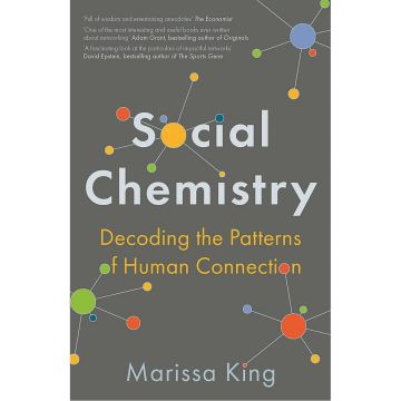 Social Chemistry: Decoding the Patterns of Human Connection