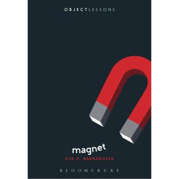 Magnet