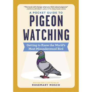 A Pocket Guide to Pigeon Watching