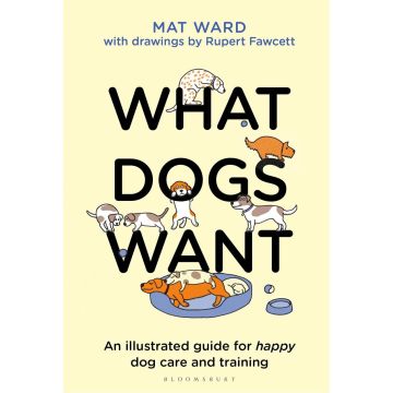 What Dogs Want