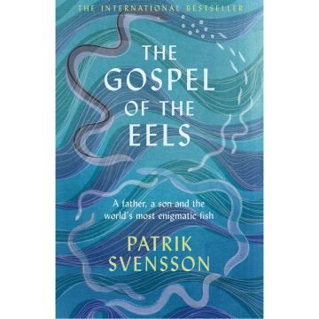 The Gospel of the Eels