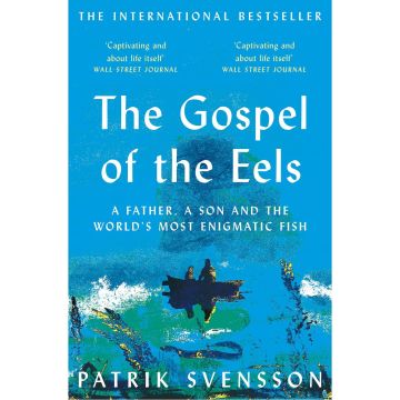 The Gospel of the Eels