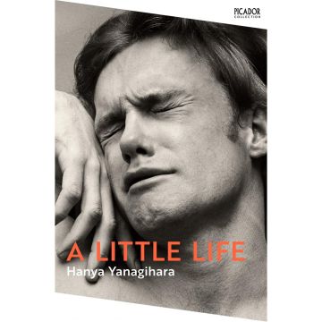 Picador Collection: A Little Life