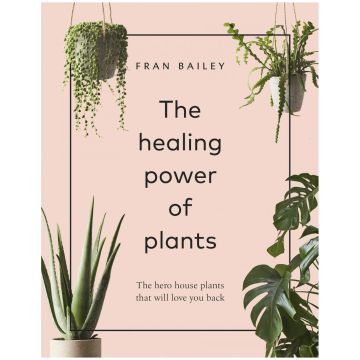 The Healing Power of Plants