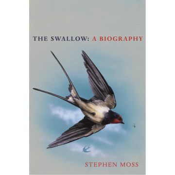 The Swallow