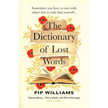 The Dictionary of Lost Words