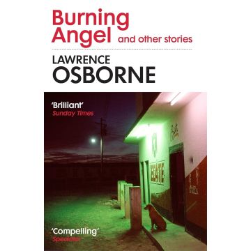 Burning Angel and Other Stories