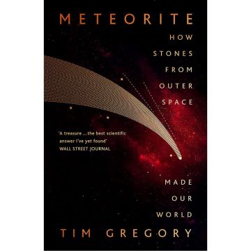 Meteorite